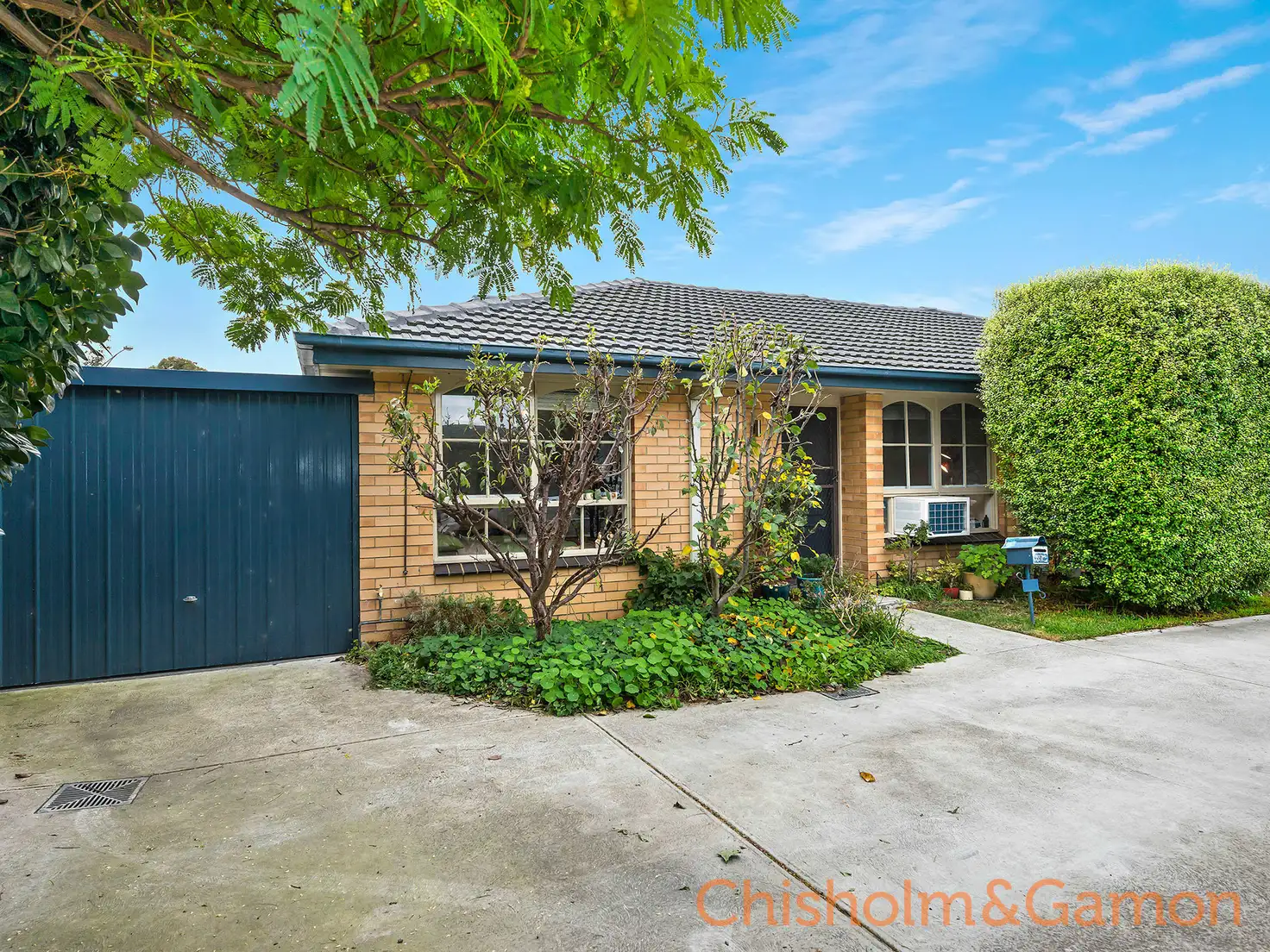 Main view of Homely unit listing, 11/19 Brindisi Street, Mentone VIC 3194