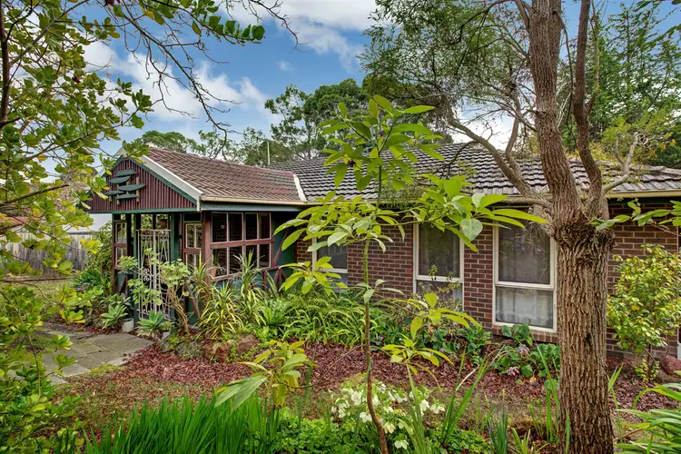 53 The Boulevard, Montrose VIC 3765