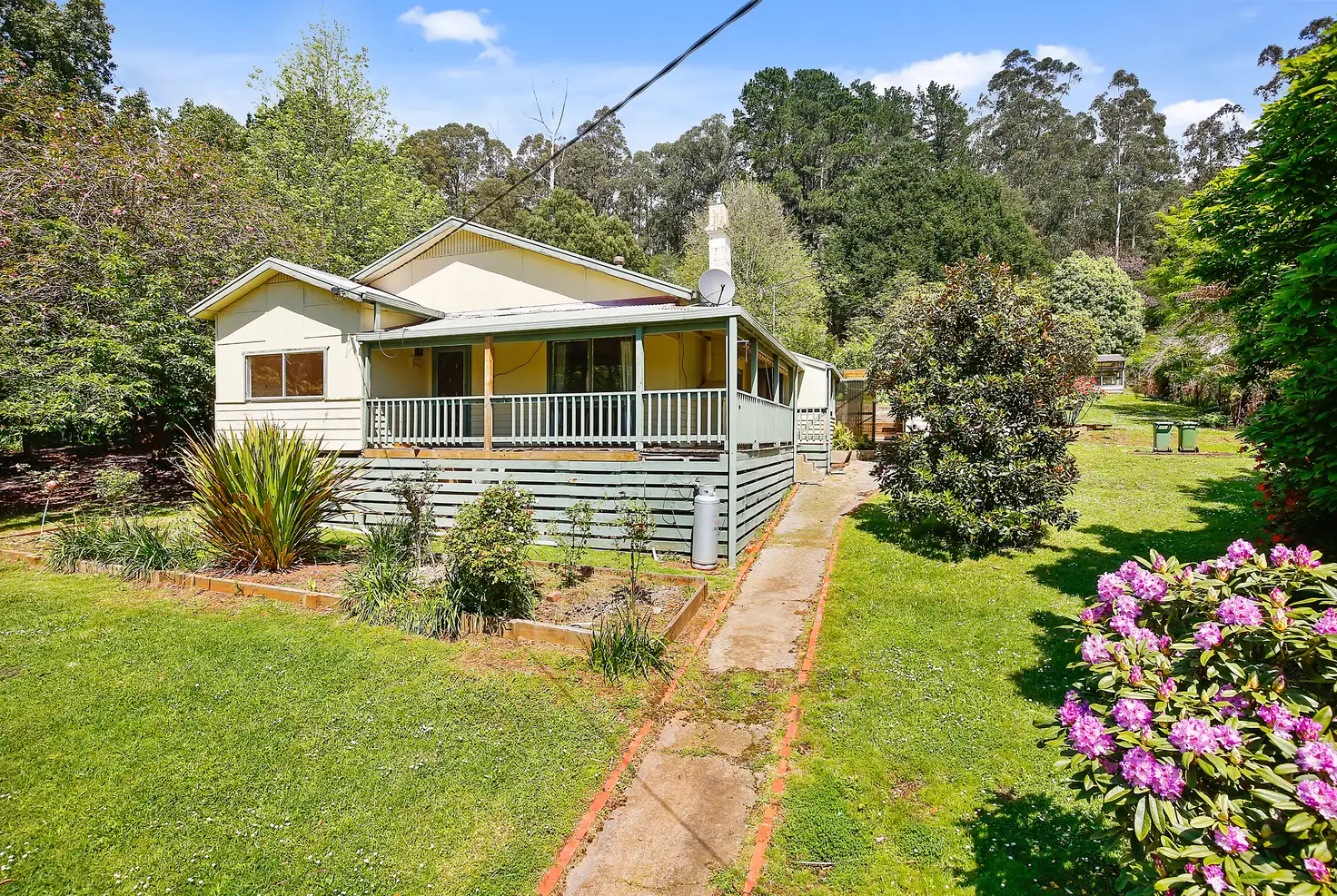 Main view of Homely house listing, 202 Big Pats Creek Road, Big Pats Creek VIC 3799