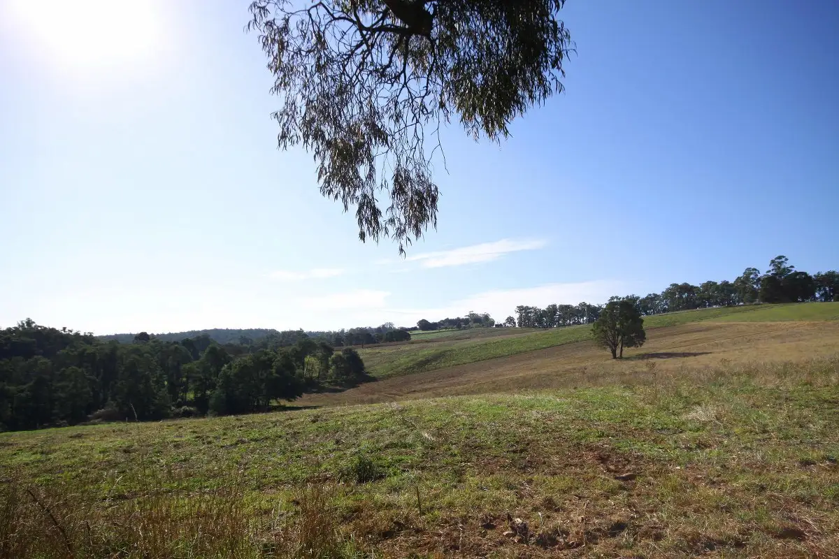 Main view of Homely land listing, Lot/1 Amphlett Avenue, Gembrook VIC 3783
