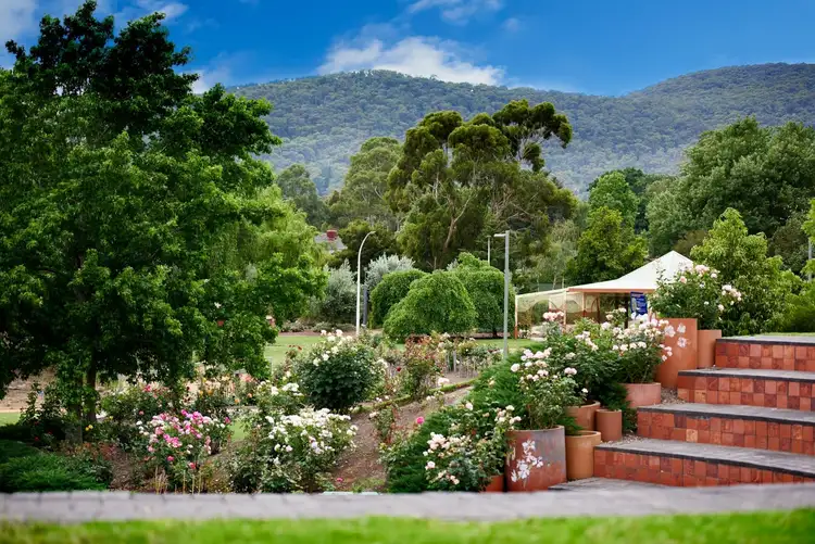 Sixth view of Homely house listing, 231 Boronia Road, Boronia VIC 3155