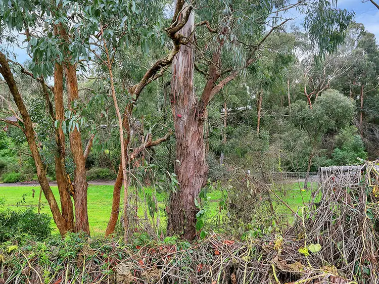 Sixth view of Homely house listing, 201 Canterbury Road, Blackburn VIC 3130