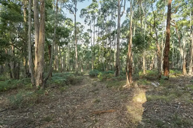 Main view of Homely land listing, Lot 49 Cemetery Road, Eganstown VIC 3461
