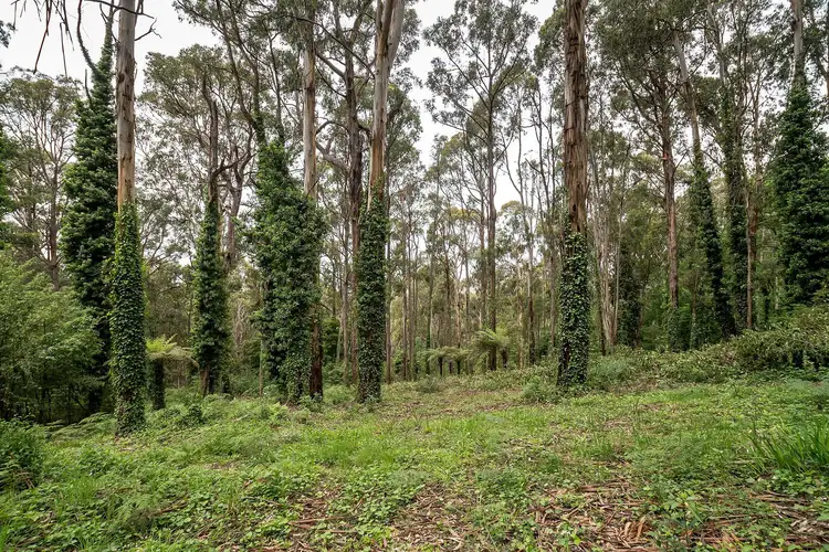 Second view of Homely land listing, 19 Olinda Creek Road, Kalorama VIC 3766