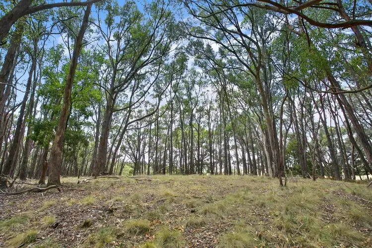 Main view of Homely land listing, 310 Creswick-Dean Road, Dean VIC 3363