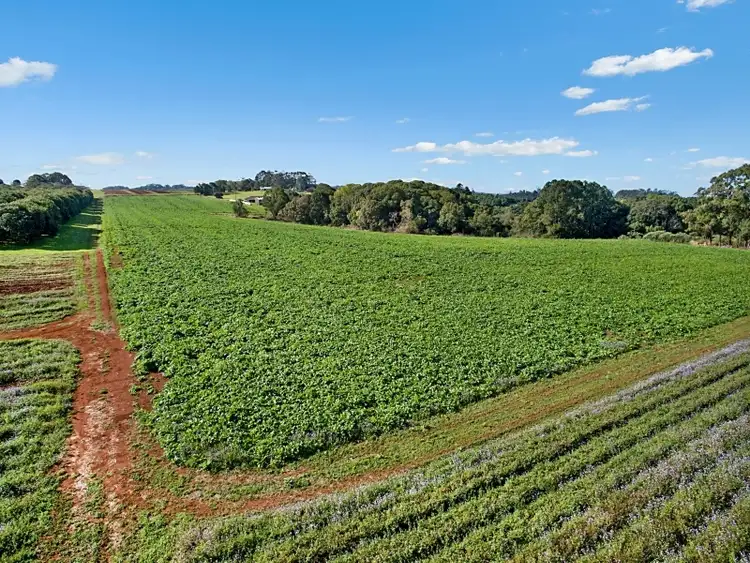 Sixth view of Homely land listing, Lot 3 Dou-Jea Lane, Uralba NSW 2477