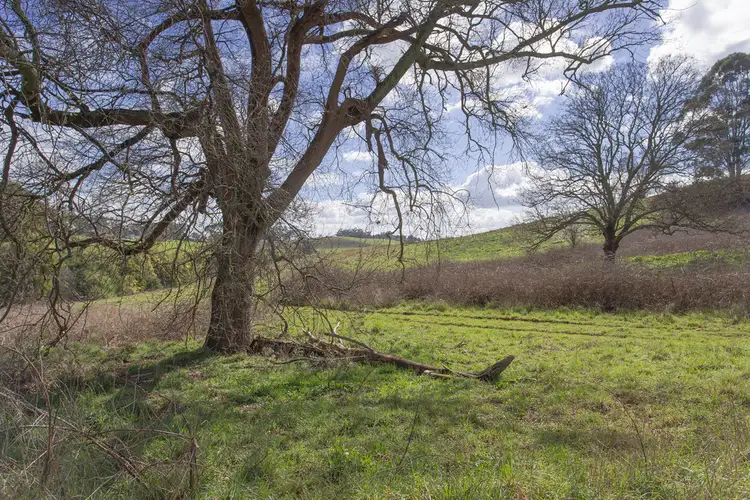 Seventh view of Homely rural property listing, 275 Mountain Road, Gembrook VIC 3783