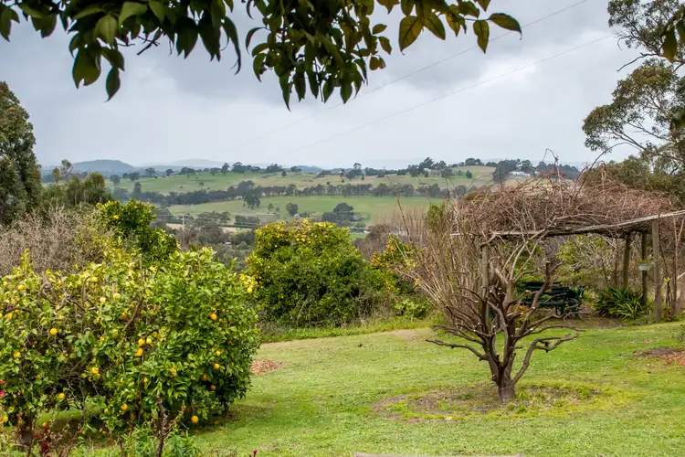 Second view of Homely house listing, 56 Courtneys Road, Belgrave South VIC 3160