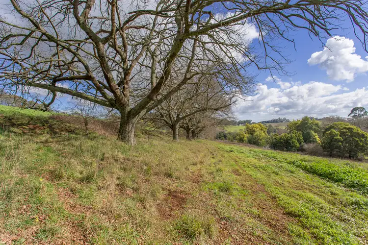 Fifth view of Homely rural property listing, 275 Mountain Road, Gembrook VIC 3783