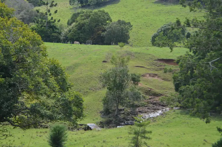 Sixth view of Homely rural property listing, 54 Palmers Road, Mcleans Ridges NSW 2480