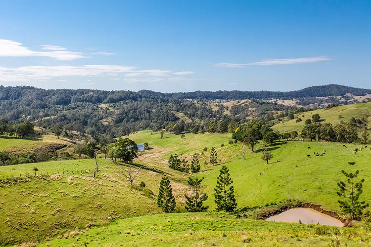 Second view of Homely rural property listing, 24 Oakey Creek Road, Georgica NSW 2480