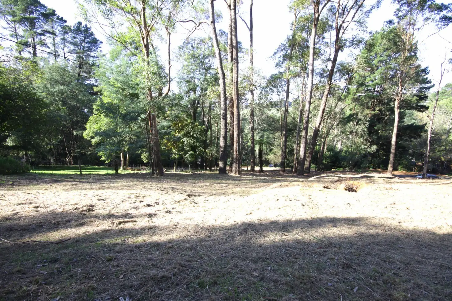 Main view of Homely land listing, 22 Poplar Crescent, Emerald VIC 3782