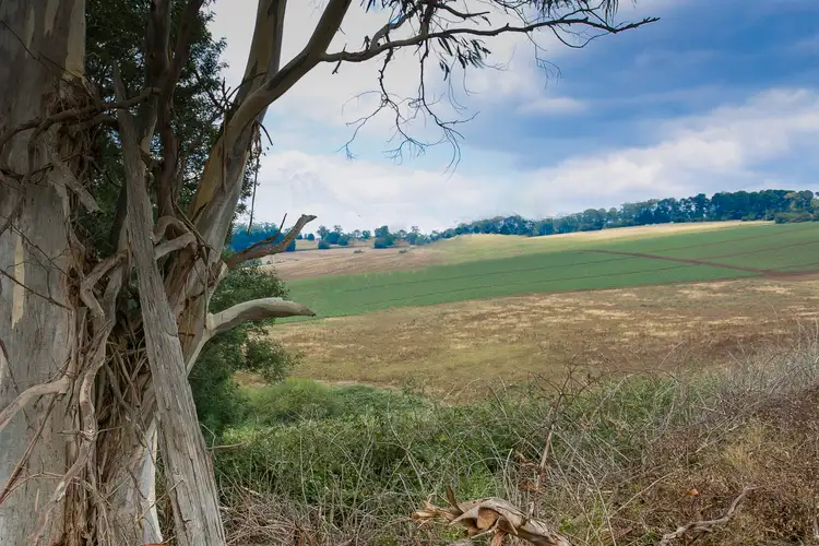 Main view of Homely land listing, 120 Ure Road, Gembrook VIC 3783