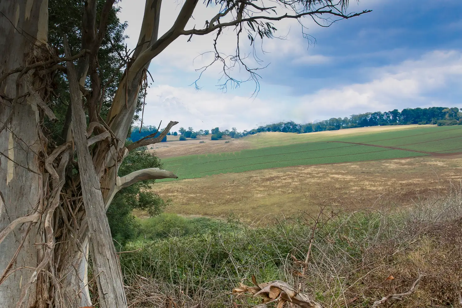 Main view of Homely land listing, 120 Ure Road, Gembrook VIC 3783