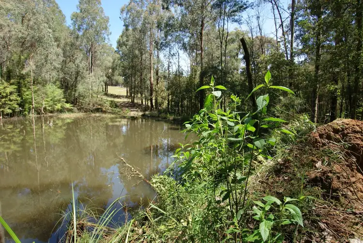 Sixth view of Homely house listing, 330 Thonemans Road, Hoddles Creek VIC 3139
