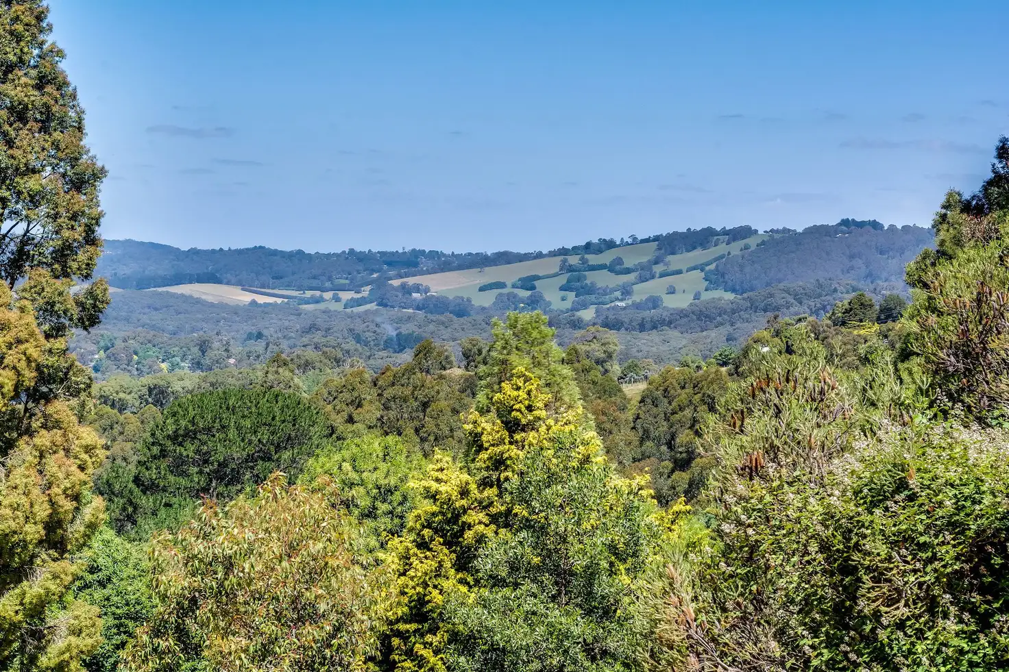 Main view of Homely house listing, 29 McCarthy Road, Olinda VIC 3788