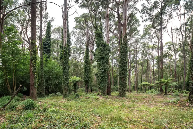 Fourth view of Homely land listing, 15 Olinda Creek Road, Kalorama VIC 3766