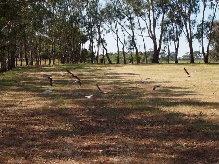 Third view of Homely land listing, Lot 8 Goulds Road, One Tree Hill SA 5114
