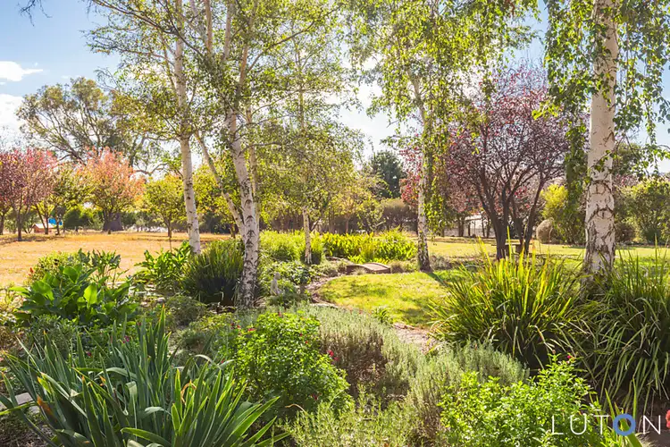 Third view of Homely house listing, 6 South Street, Murrumbateman NSW 2582
