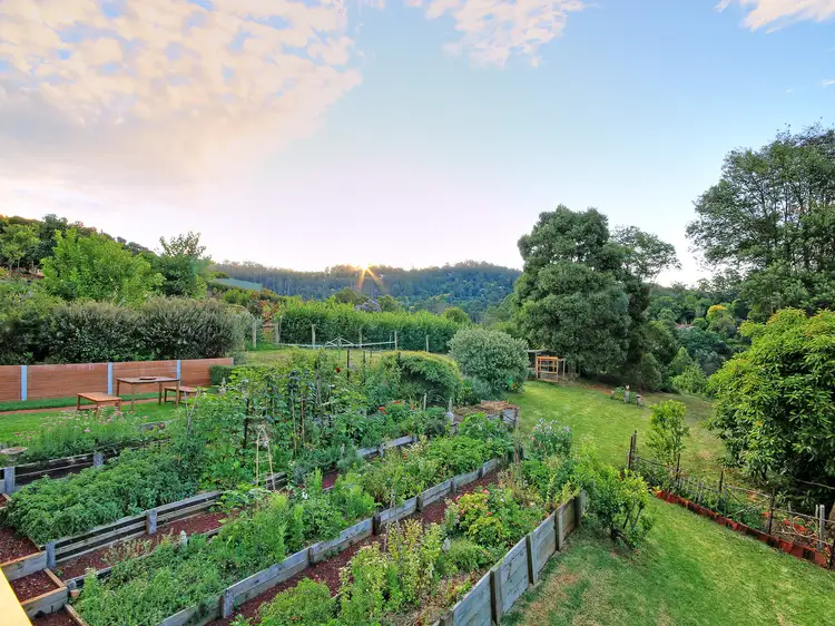 37 Georges Road, The Patch VIC 3792