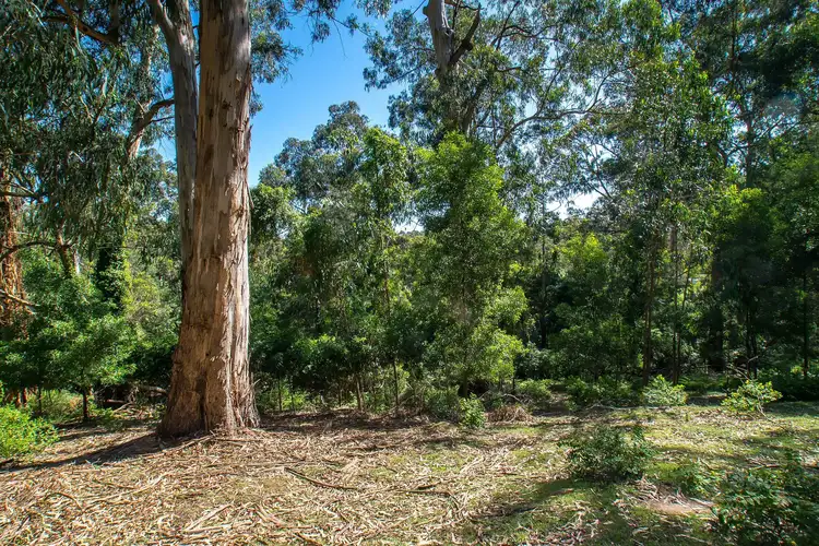 Sixth view of Homely land listing, 1 Belgrave Avenue, Belgrave VIC 3160