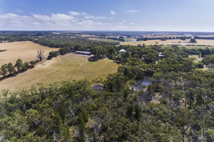 Second view of Homely rural property listing, 555 Great Ocean Road, Bellbrae VIC 3228