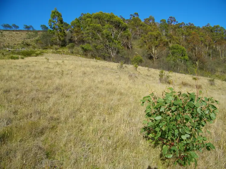 Sixth view of Homely land listing, Lot 5 Rhyndaston Road, Rhyndaston TAS 7120