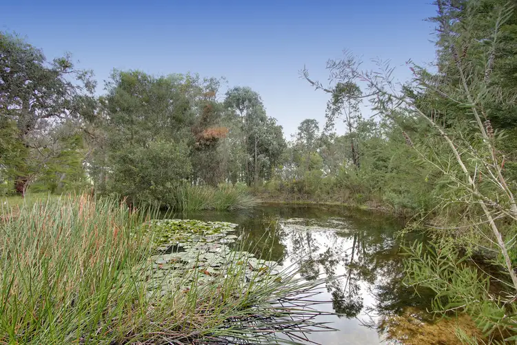 Third view of Homely house listing, 425 Sheepstation Creek Road, Yellingbo VIC 3139