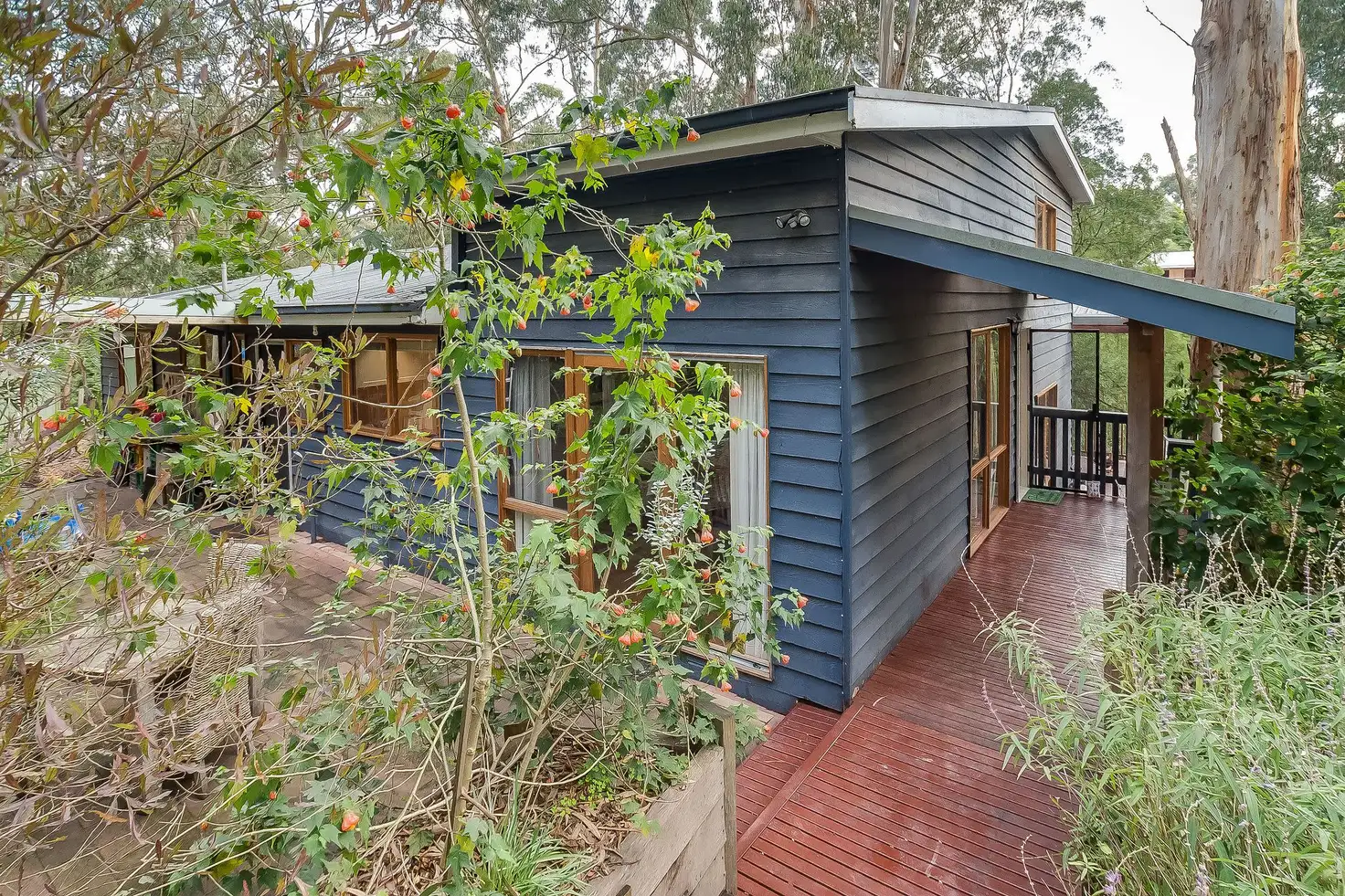 Main view of Homely house listing, 38 Goudiesdale Road, Selby VIC 3159