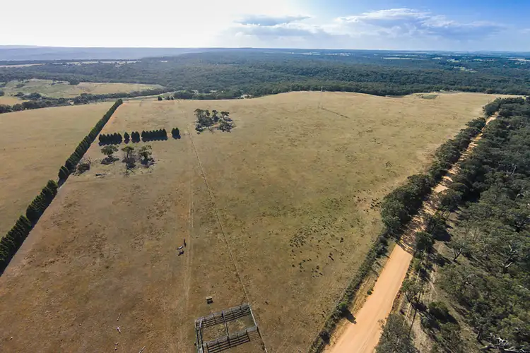 Main view of Homely rural property listing, 245 Elkington Road, Bellbrae VIC 3228