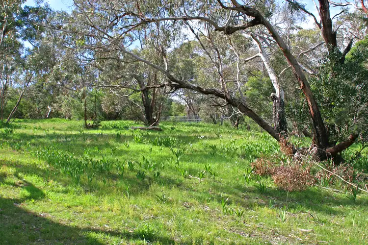 Sixth view of Homely house listing, 59 Ellerina Road, Mount Martha VIC 3934