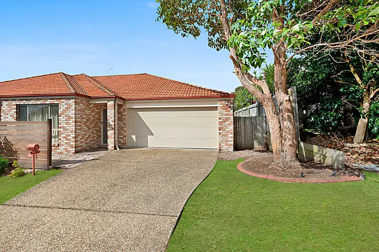 1/3 Sanderling Street, Upper Coomera QLD 4209