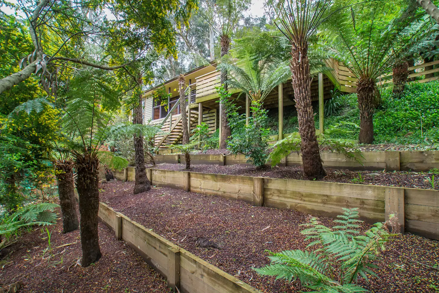 Main view of Homely house listing, 47 Kaola Street, Belgrave VIC 3160
