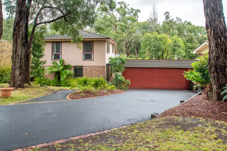 Main view of Homely house listing, 161 Colby Drive, Belgrave South VIC 3160