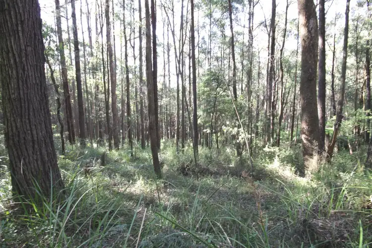 Main view of Homely land listing, LOT41 Beenak East Road, Gembrook VIC 3783