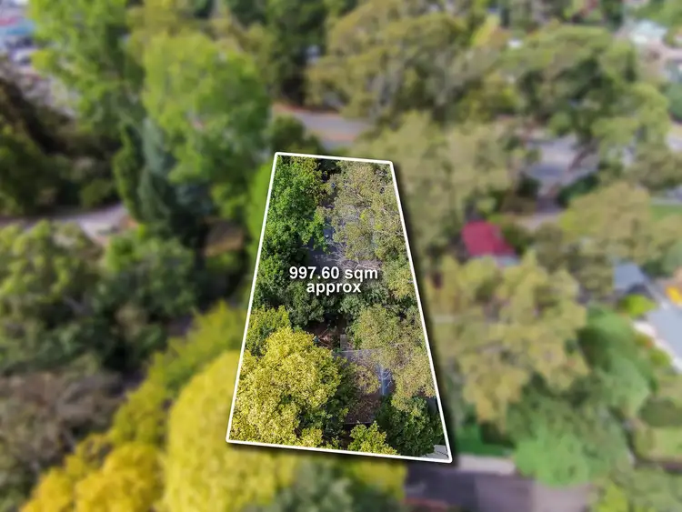 Second view of Homely house listing, 885 Mount Dandenong Road, Montrose VIC 3765
