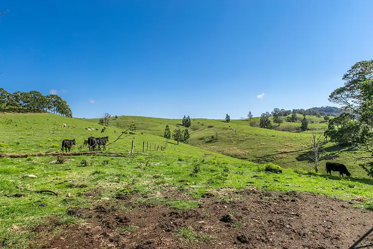 Sixth view of Homely rural property listing, 24 Oakey Creek Road, Georgica NSW 2480