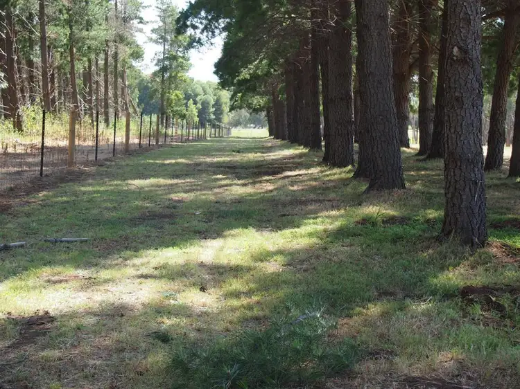 Fourth view of Homely land listing, Lot 8 Goulds Road, One Tree Hill SA 5114