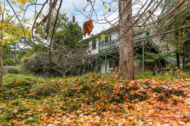 Third view of Homely house listing, 1421 Mountain Highway, The Basin VIC 3154