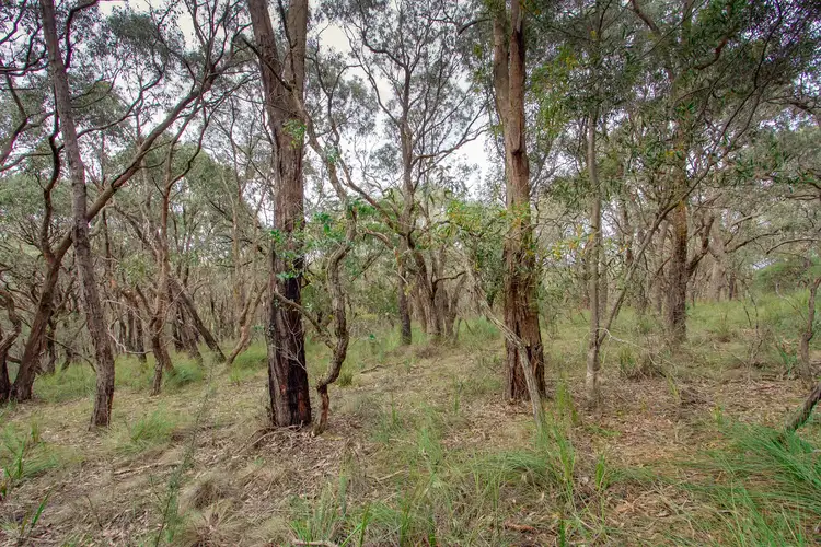 Fourth view of Homely land listing, Lot/101 Short Road, Macclesfield VIC 3782