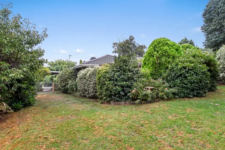 41 Surrey Road, Warburton VIC 3799