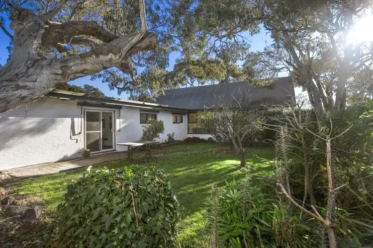 61 Powell Street West, Ocean Grove VIC 3226