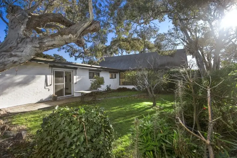 Main view of Homely house listing, 61 Powell Street West, Ocean Grove VIC 3226