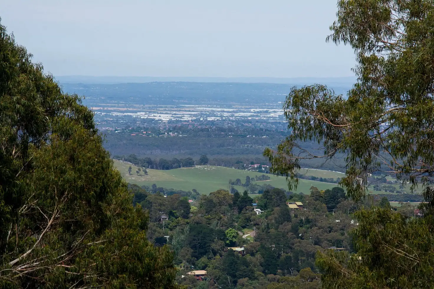 Main view of Homely house listing, 12 Webbs Road, Ferny Creek VIC 3786
