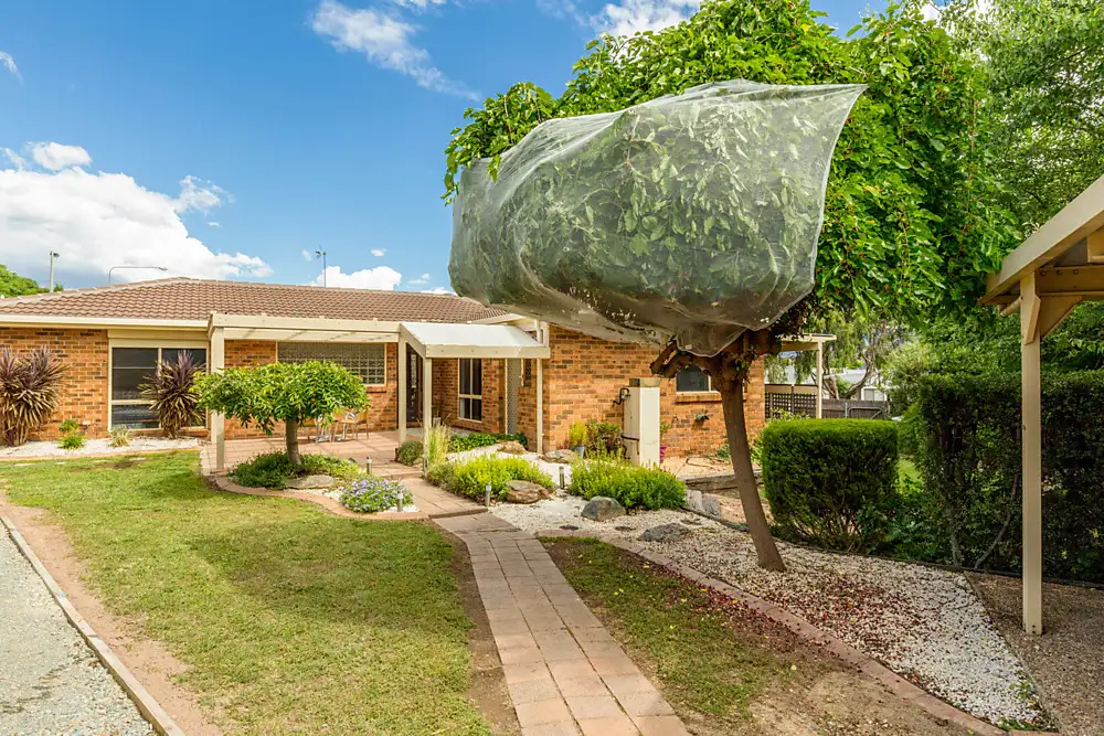 Main view of Homely house listing, 8 Lake Place, Conder ACT 2906