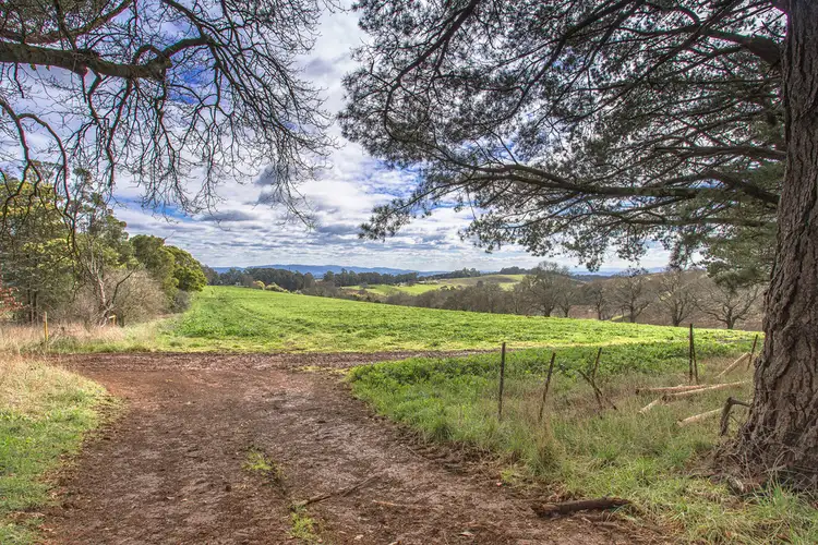 Second view of Homely rural property listing, 275 Mountain Road, Gembrook VIC 3783