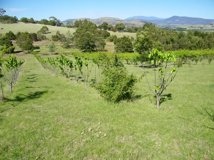Fourth view of Homely land listing, 77 Richmond Valley Road, Richmond TAS 7025