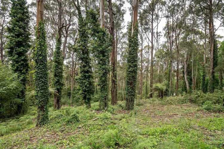 Third view of Homely land listing, 19 Olinda Creek Road, Kalorama VIC 3766