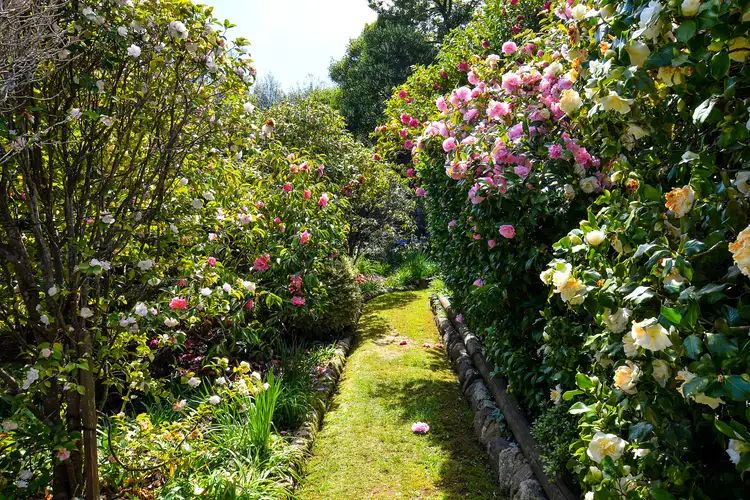 Third view of Homely house listing, 483 Monbulk Road, Monbulk VIC 3793