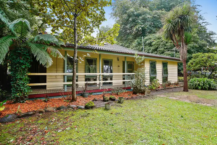 24 Hazelwood Road, East Warburton VIC 3799